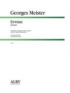 Erwinn Fantasia 