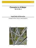 Concerto in A Minor 