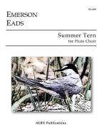 Summer Tern 