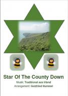 Star of County Down 