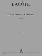 Agencement - Rhizome 