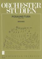 Orchestra Studies 