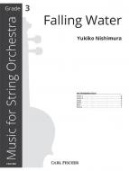 Falling Water 