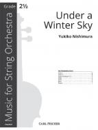 Under a Winter Sky 