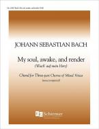 My Soul Awake 