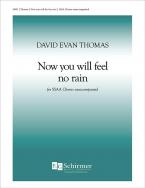 Now You Will Feel No Rain 