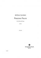 Freezing Fields 