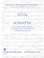 Sonata in B flat major 