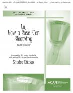 Lo, How a Rose E'Er Blooming 