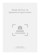Etude 38 pour 16 Agresseurs Apprivoises 