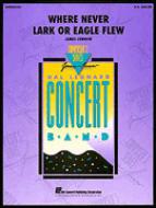 Where Never Lark Or Eagle Flew 