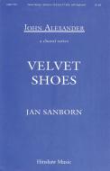 Velvet Shoes 