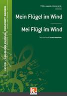 Mein Flügel im Wind - Mei Flügl im Wind 