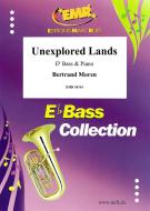 Unexplored Lands Standard