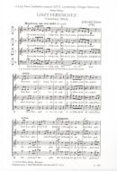 Ode To Liszt 
