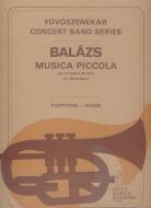 Musica piccola 