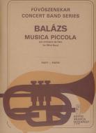 Musica piccola 