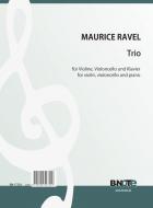 Trio for violin, violoncello and piano 