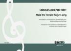 Variations on Mendelssohn's christmas hymntune Hark the Herald Angels sing for organ 