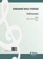 First violin sonata in g minor op.1 