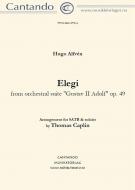 Elegi 