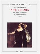 A Te, O Cara 