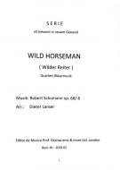 Wild Horseman 