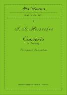 Concerto In Fa 
