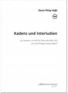 Cadenza and interludes 