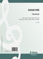 Fantasy on 'Harre, meine Seele' for organ op.76 