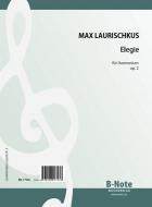 Elegy for hamonium op.2 