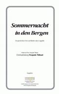 Sommernacht in den Bergen 