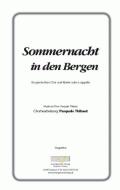 Sommernacht in den Bergen 