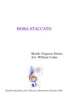 Hora Staccato Standard