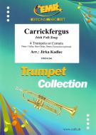 Carrickfergus Standard