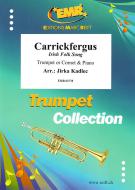 Carrickfergus Standard