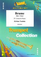 Brume Download