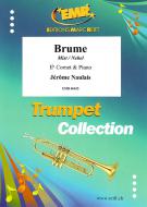Brume Download