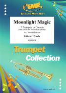 Moonlight Magic Download