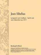 Langsamt som kvällsyn 