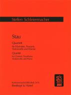 Stau 