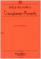 Transylvanian Moments 