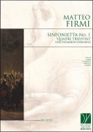Sinfonietta No. 1 'Quadri Triestini' 