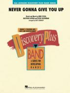 Never Gonna Give You Up Standard