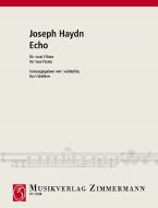 Echo Download