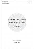 Peace in the world 