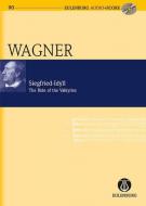 Siegfried-Idyll / the Ride of the Valkyries 