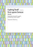 Ecce quam bonum 