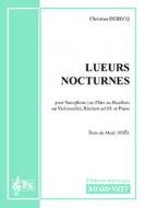 Lueurs nocturnes 