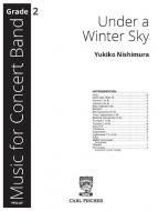 Under a Winter Sky 